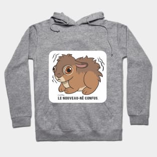 Le Nouveau-né Confus - FR - Lièvre D'Europe Hoodie